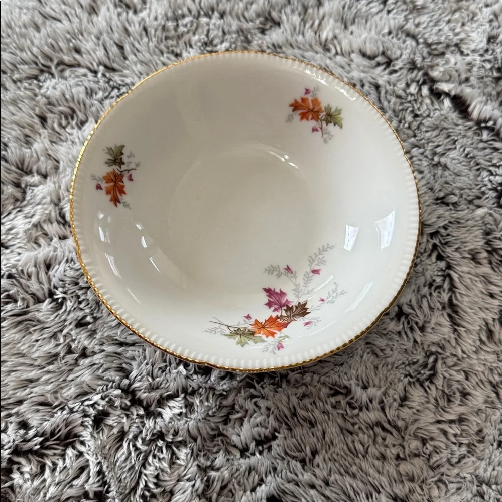 Winterling Bavaria‎ Germany Autumn Leaves Set of 4 Fruit Dessert Bowls 5.5